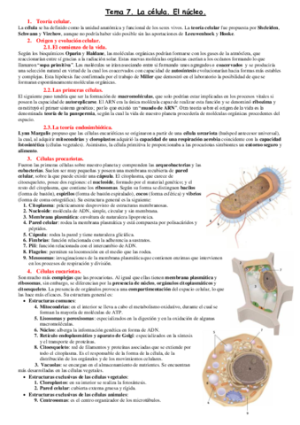 Tema-7.pdf