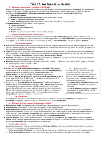 Tema-14.pdf