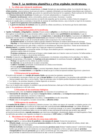 Tema-9.pdf