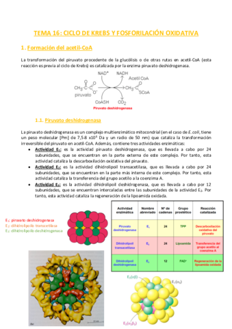 TEMA-16-Bioquimica.pdf