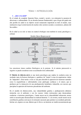 TEMA-1-9.pdf