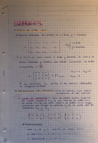 MATRICES.pdf