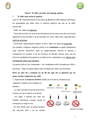 11adnportadorinformacion.pdf