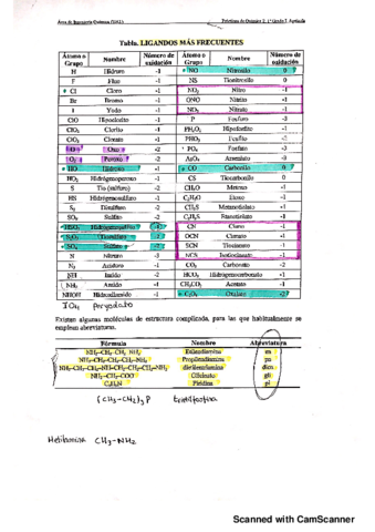 Formulacion-complejos.pdf