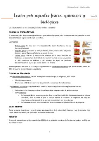 Tema-21-Lesiones-causadas-por-agentes.pdf