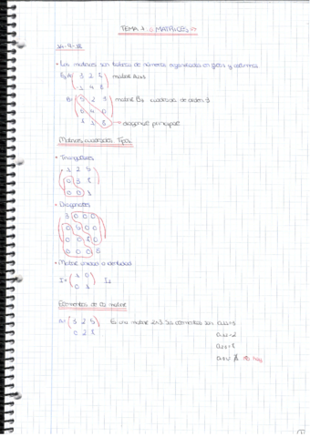 tema-1-matrices.pdf