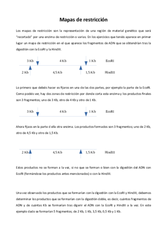 Mapas-de-restriccion-explicado.pdf