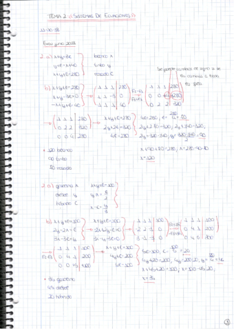 tema-2-sistemas-de-ecuaciones.pdf