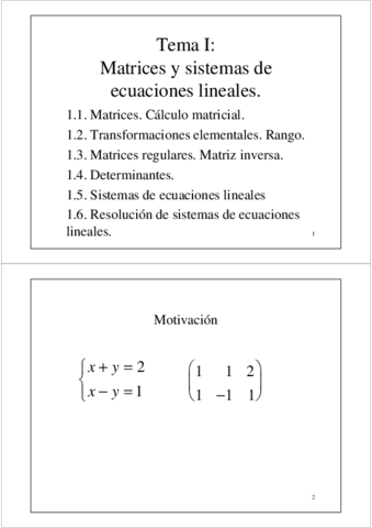Matematicas-I-Tema-1.pdf