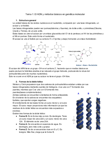 Tema-1-El-ADN-y-metodos-basicos-en-genetica-molecular.pdf