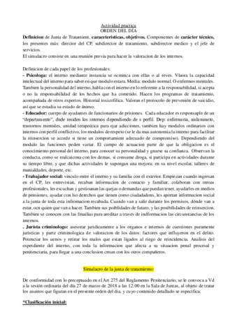 ACTIVIDAD-EJECUCION.pdf