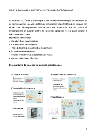 UIDAD-4.pdf