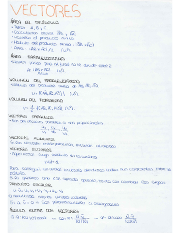 Resumen vectores