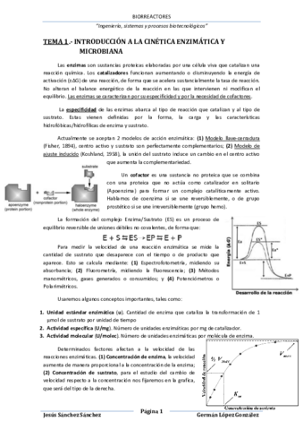 Bioreactores.pdf