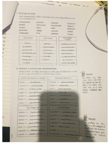 Ejercicios-morfologia-.pdf