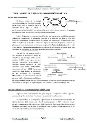 Genética molecular.pdf