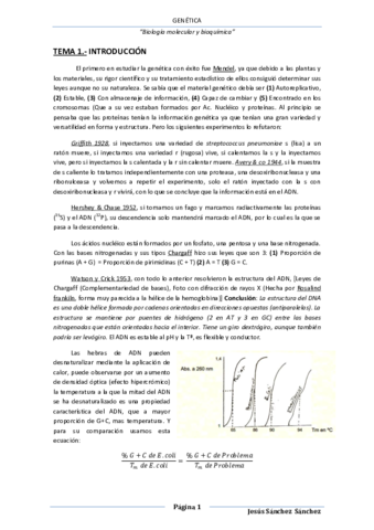 Genética.pdf