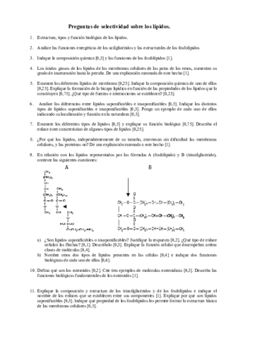 03-C-lipidos.pdf