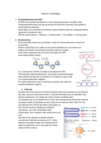 Tema-2-Cromatina.pdf