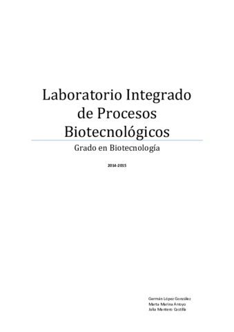 Memorias LIPROC.pdf