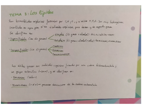 Tema-3-Lipidos.pdf