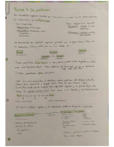 Tema-4-Proteinas.pdf