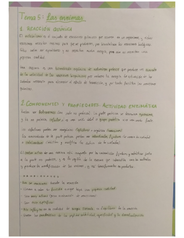 Tema-5-Las-enzimas.pdf