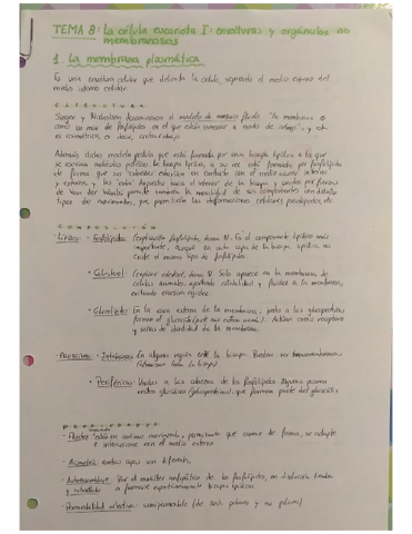 Temas-8-y-9-La-celula-eucariota.pdf