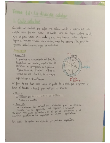 Tema-11-La-division-celular.pdf