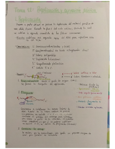 Tema-12-Replicacion-y-expresion-genica.pdf
