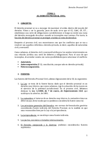 Apuntes Procesal Civil.pdf