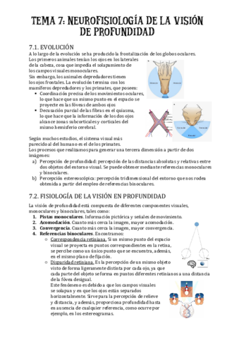 TEMA-7-neurofisiologia-de-vision-en-profundidad.pdf