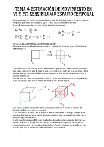 TEMA-4-estimacion-movimiento-en-V1-y-MT.pdf