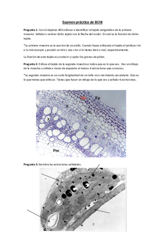 Examen práctico de BCHI.pdf