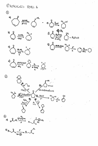 Quimica-organica-II-ejercicios.pdf