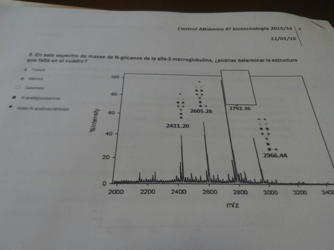 IMG-20160124-WA0013 (1).jpg