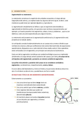 Segmentación Artropodos.pdf
