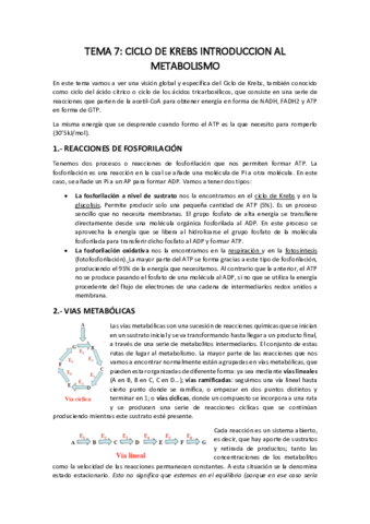 BIOQUIMICA-TEMA-7.pdf