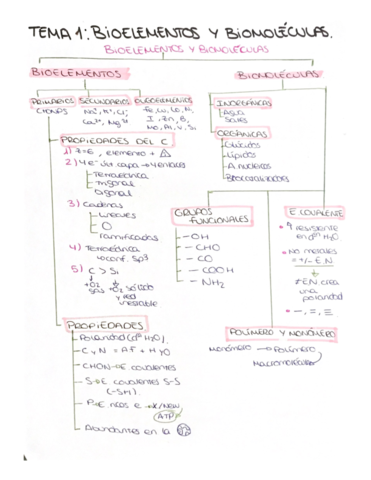 Bioelementos-y-biomolec.pdf