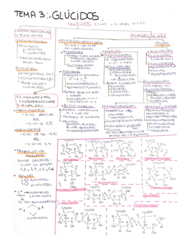 Glucidos.pdf