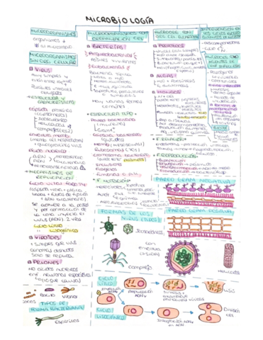 Microbiologia-.pdf