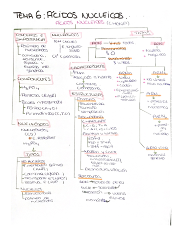 Acidos-nucleicos.pdf