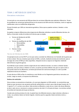 Tema-2.pdf