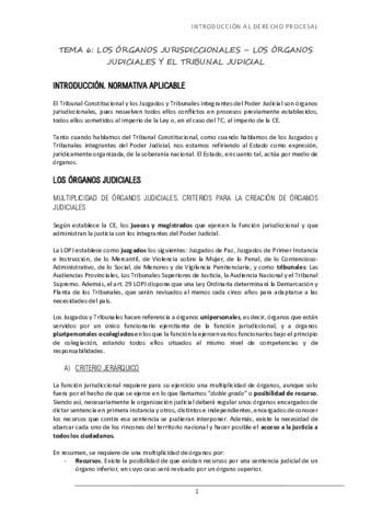 TEMA-6-ORGANOS-JURISDICCIONALES.pdf