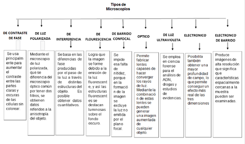 Mapa-Conceptual.png