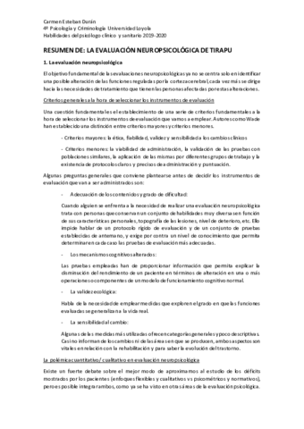 Resumen-tirapu.pdf