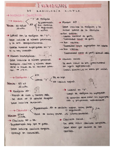 Proyecciones-del-miembro-superior.pdf