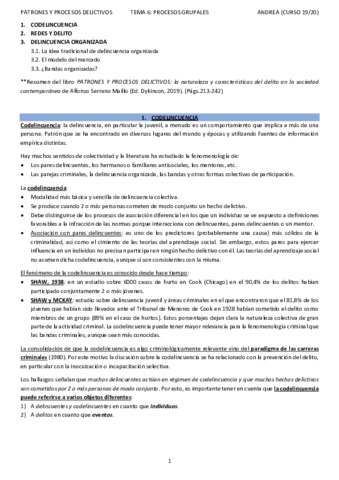 T6PATRONES-Y-PROCESOS-DELICTIVOSANDREA.pdf