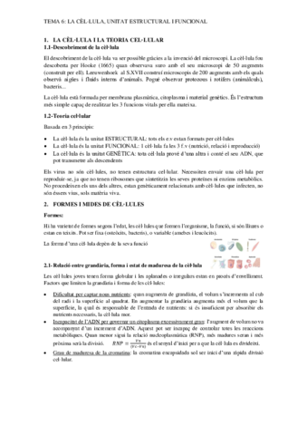 Tema-6.pdf