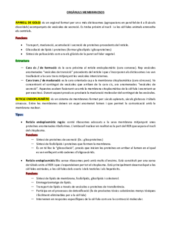 Tema-8.pdf